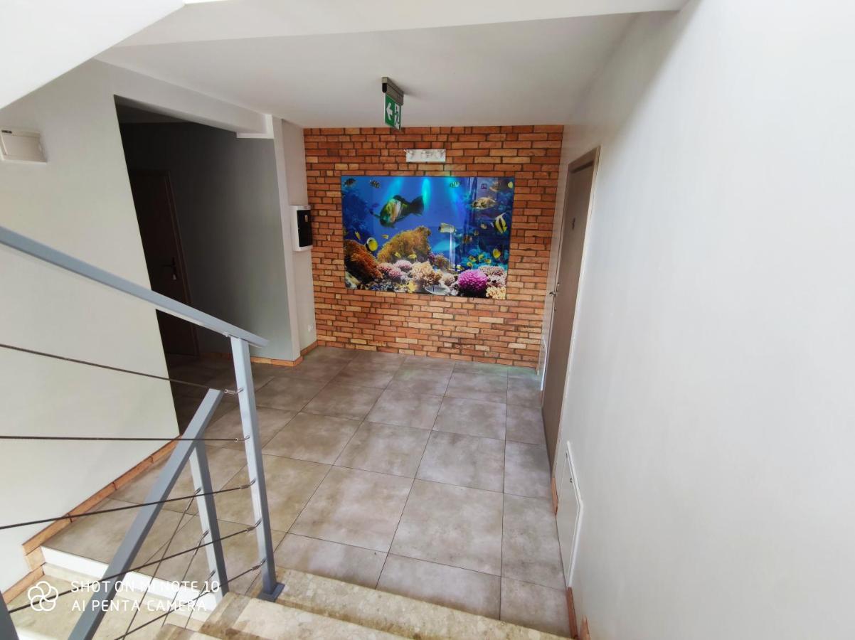 Pokoje Goscinne Pod Kasztanami Łeba Buitenkant foto